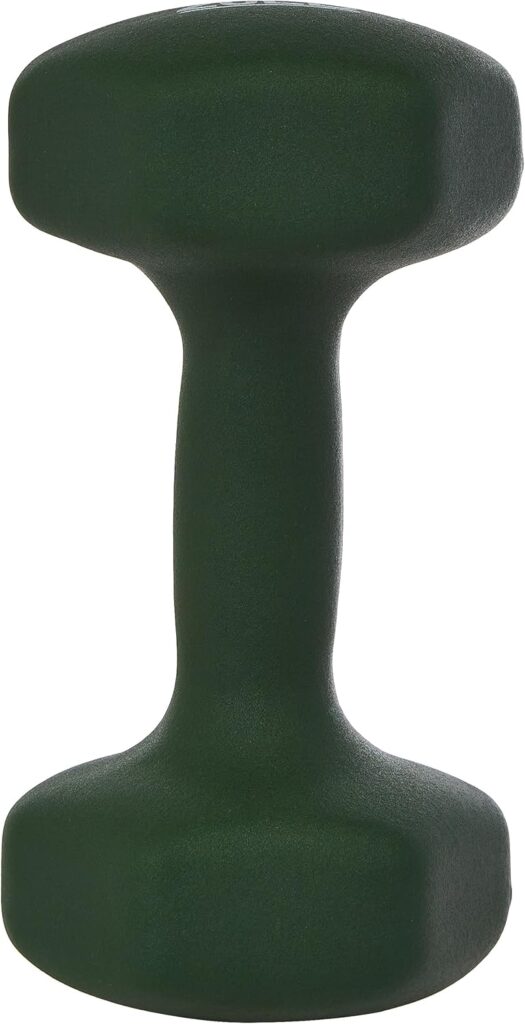 Amazon Basic Neoprene Dumbbell Hand Weight 20 lb
